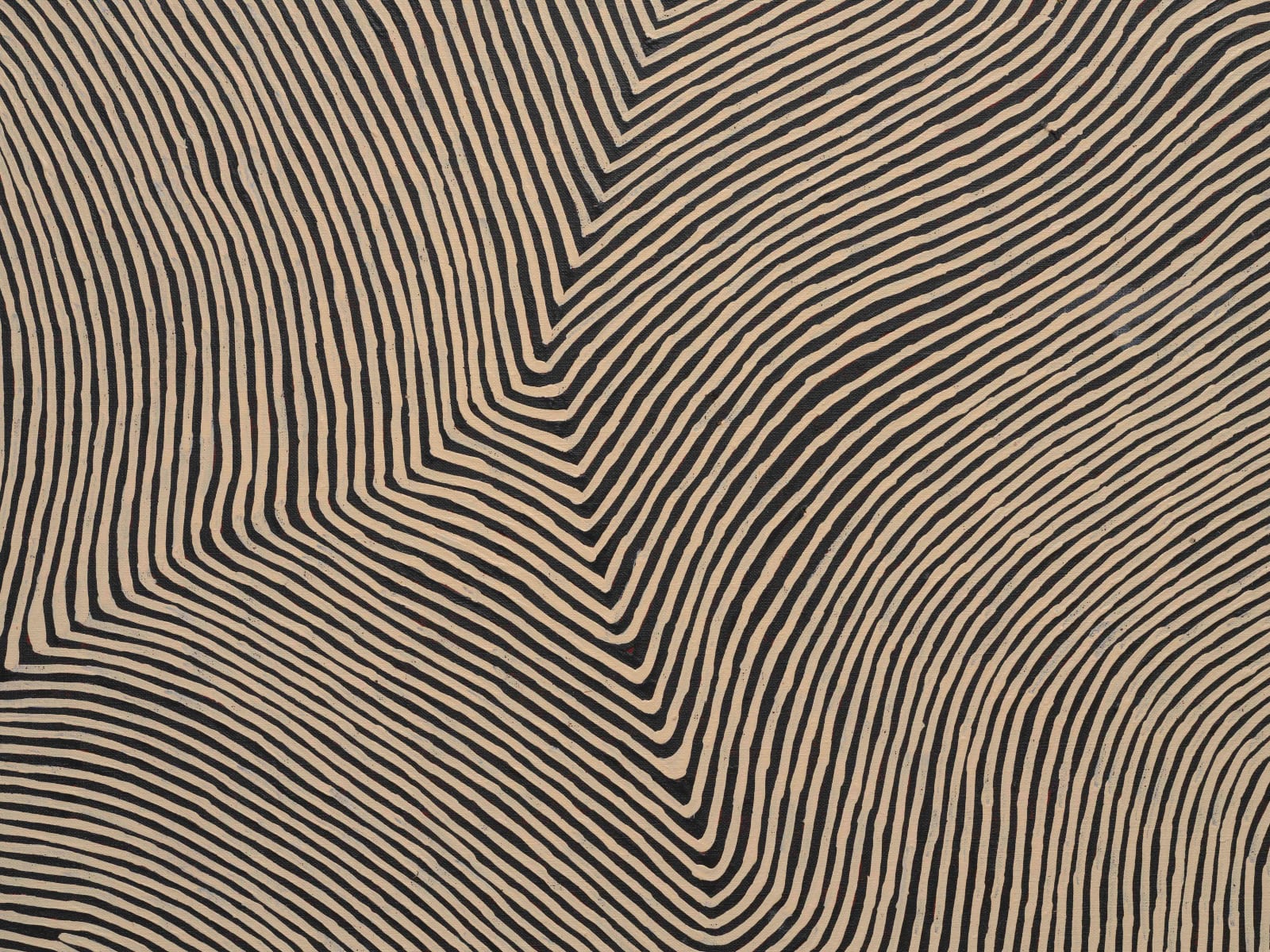 GEORGE HAIRBRUSH TJUNGURRAYI, Mamultjulkunga, 2018