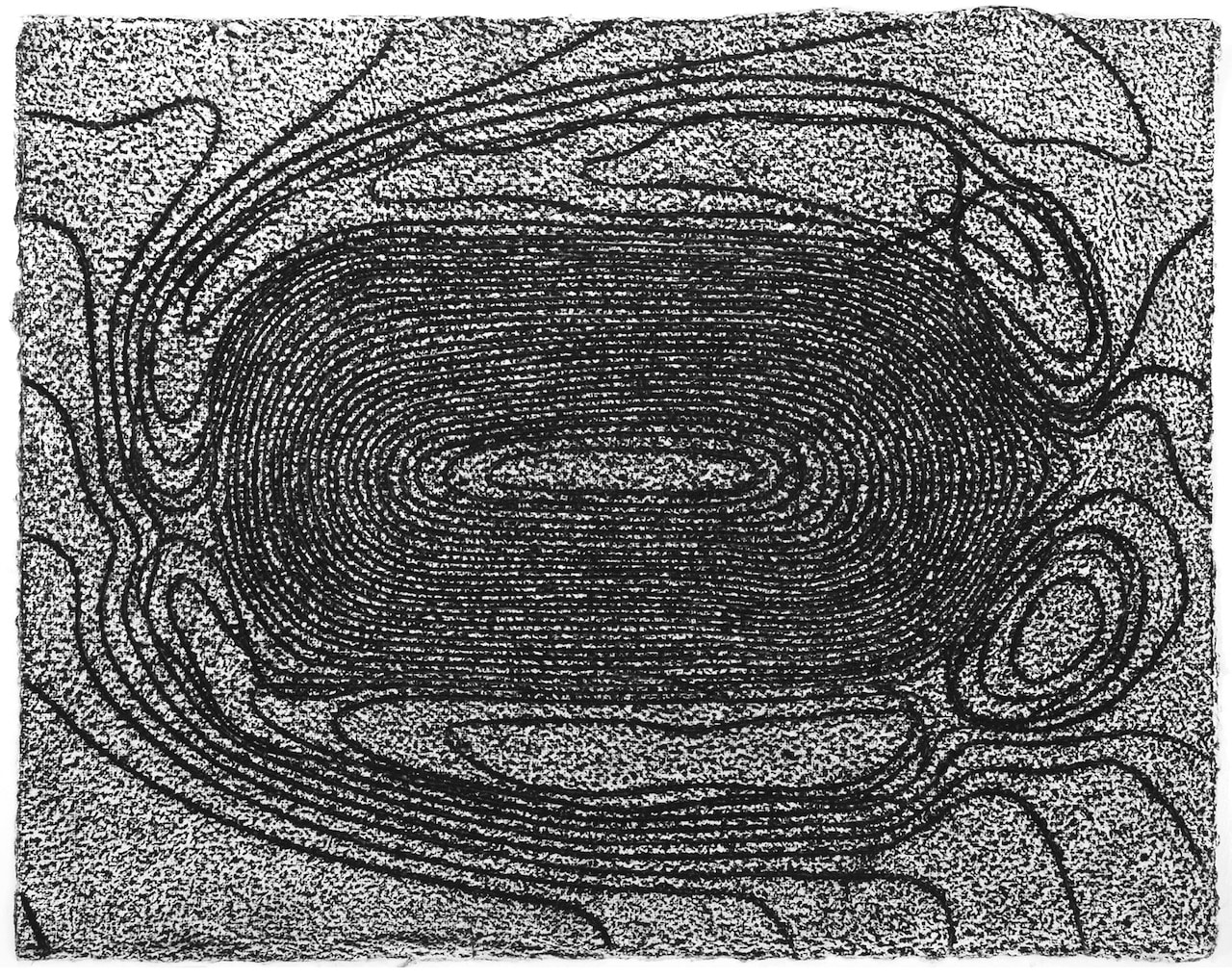 Tim Harrisson, Pitt Rivers Handley Down I, 2009
