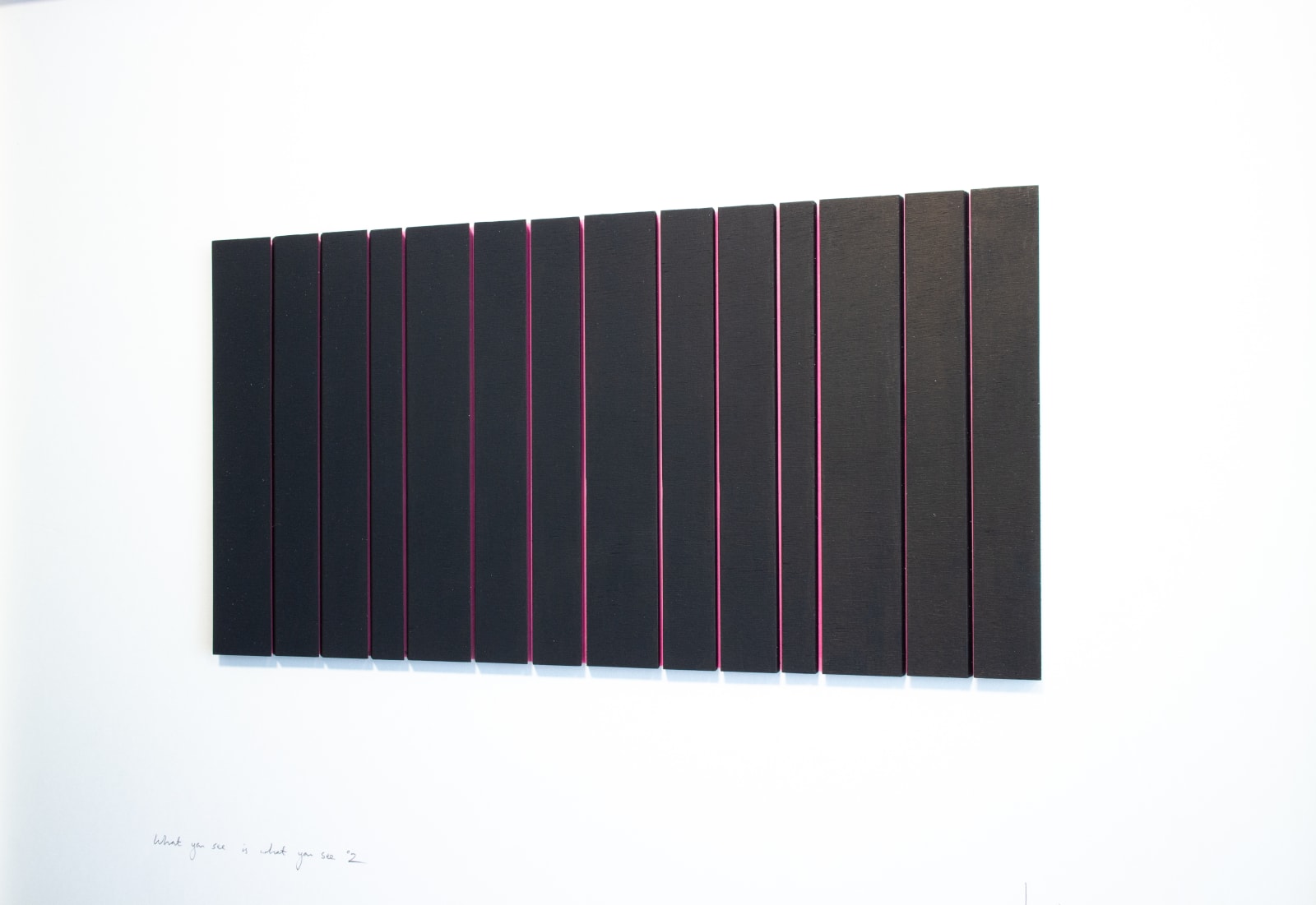 WHAT YOU SEE IS WHAT YOU SEE *2, 2017