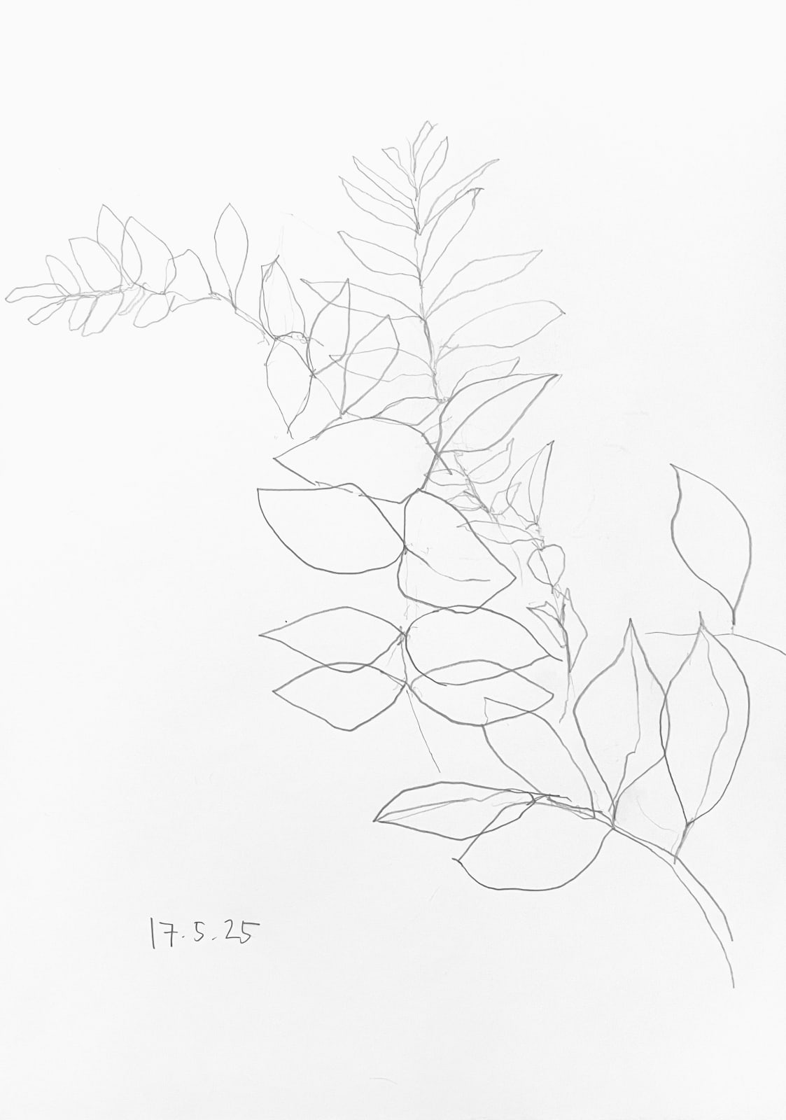 Torben Giehler, 17.5.25, 2025