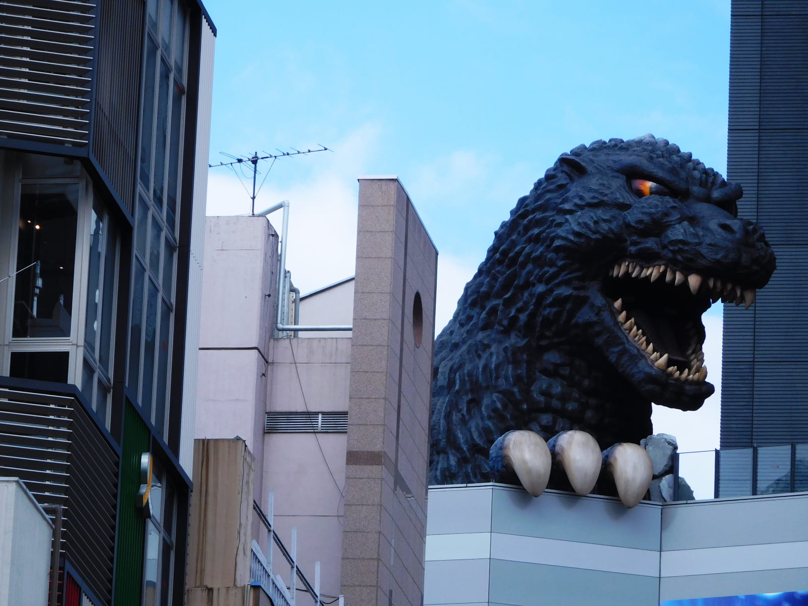 Daido Moriyama, Tokyo Boogie Woogie