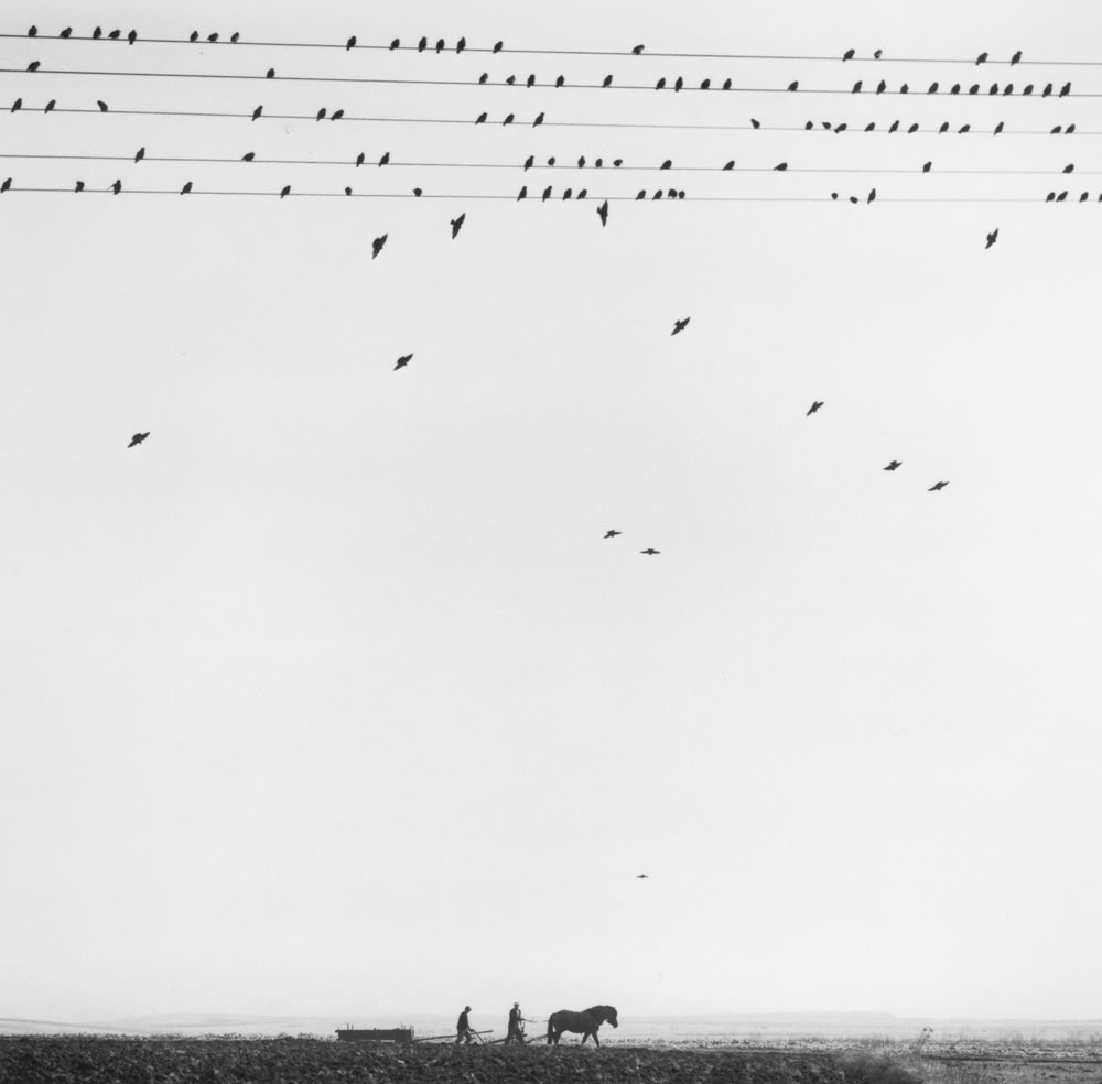 Pentti Sammallahti, Przevorsk, Puola, Poland, 2005