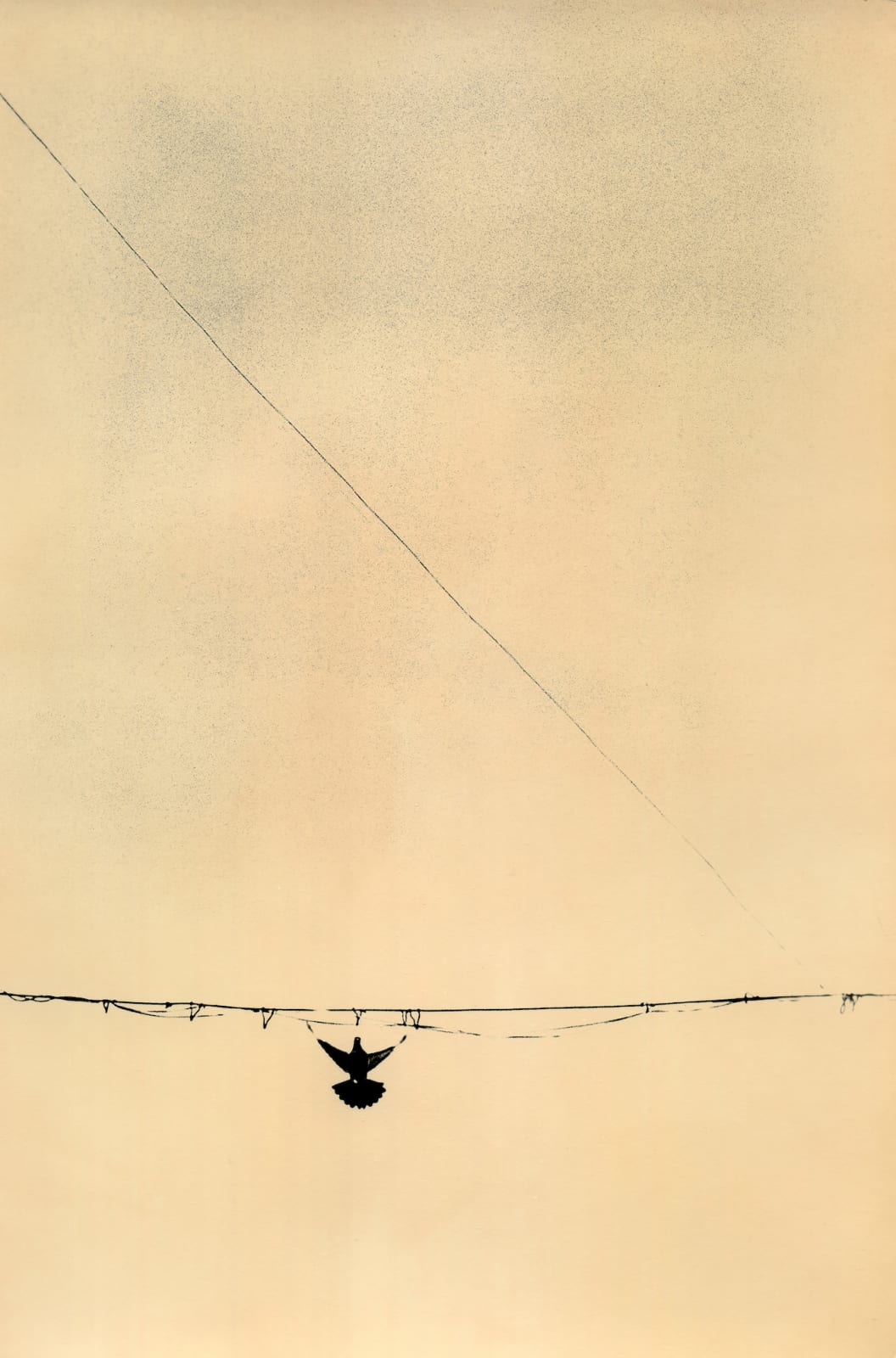 Miho Kajioka, BK0160, 2016