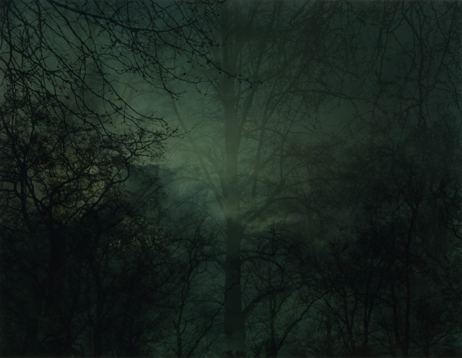 Nicholas Hughes, Untitled 2, 2007