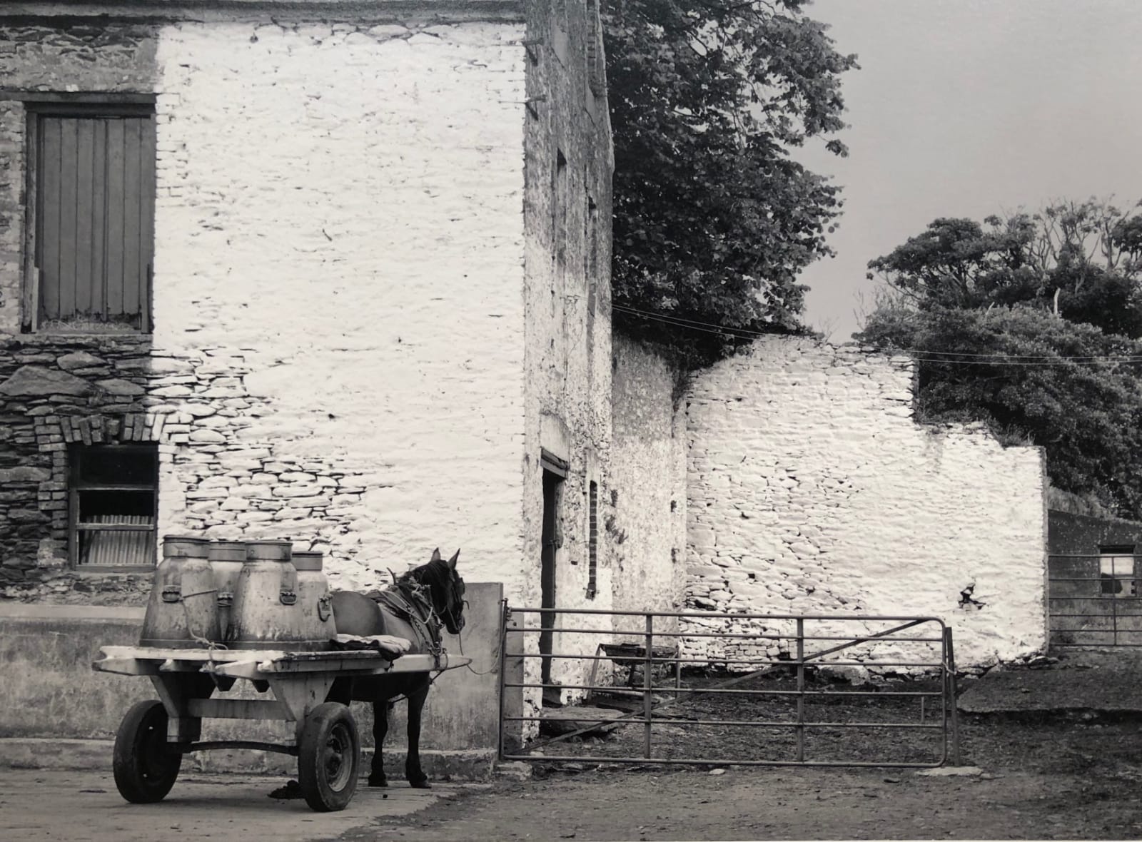 Pentti Sammallahti, Dingle, Co Kerry, Ireland, 1978