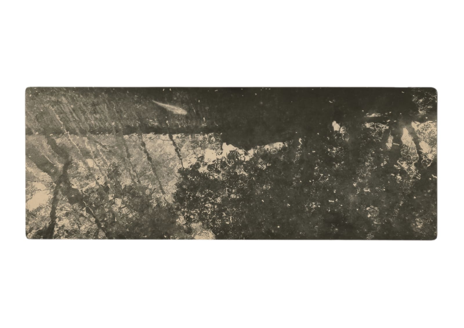 Miho Kajioka, BK0624, 2020