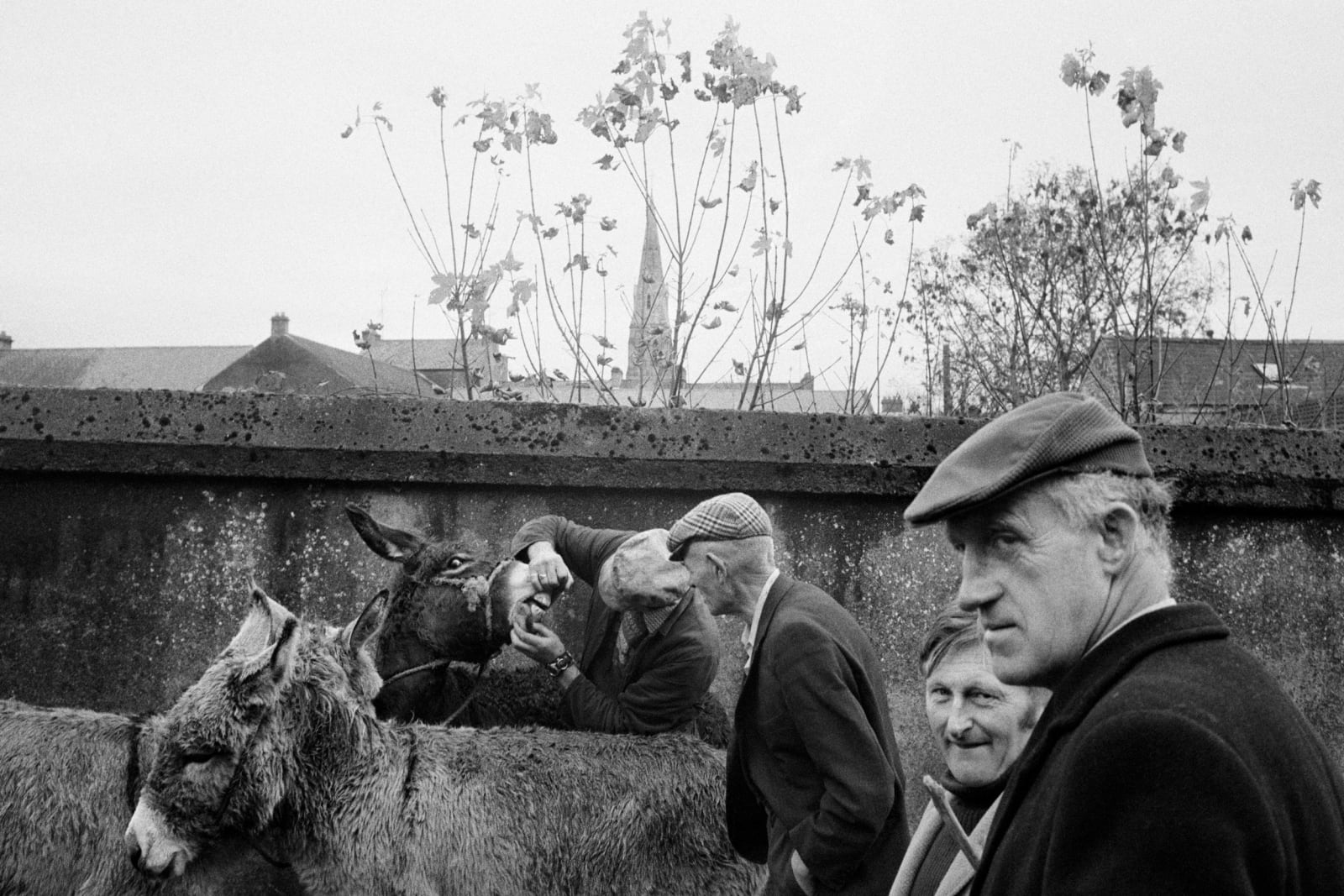 Martin Parr, County Roscommon, Ballaghaderreen Fair, 1983