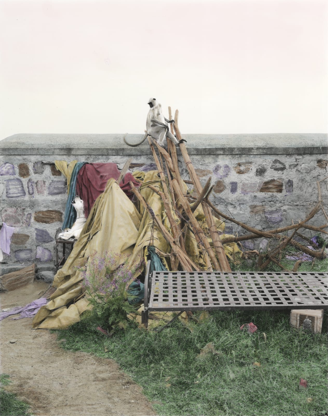 Vasantha Yogananthan, Howling to the Moon, 2015