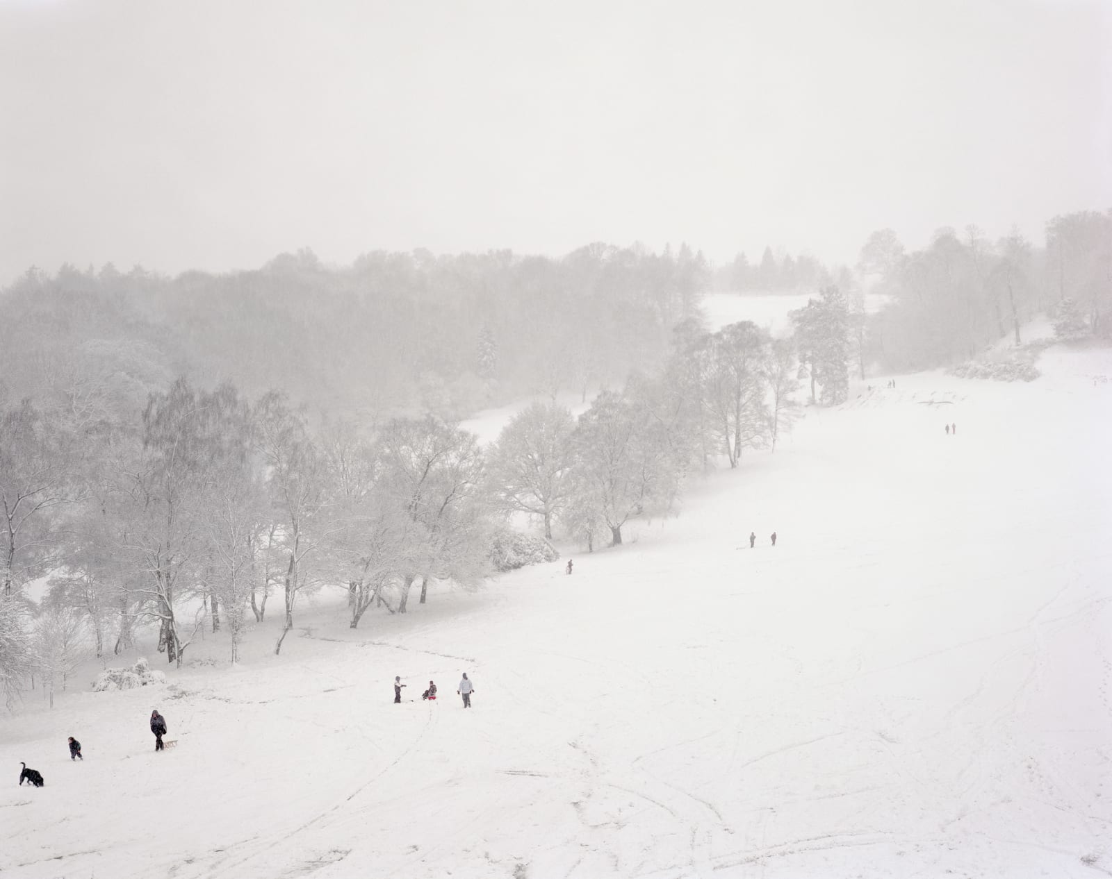 Simon Roberts, Tobogganing on the seventeenth hole, Tandridge Golf Course, Surrey, 2008