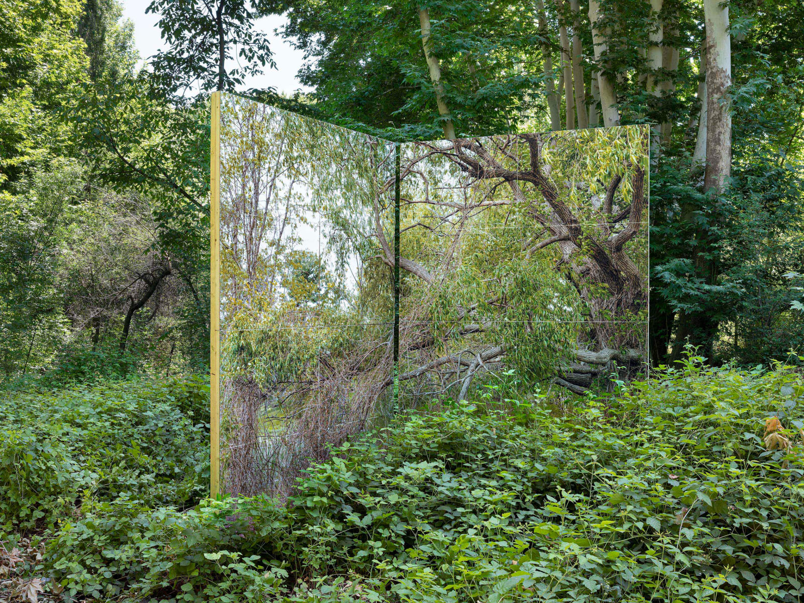 Gohar Dashti, Land/s #1, 2019