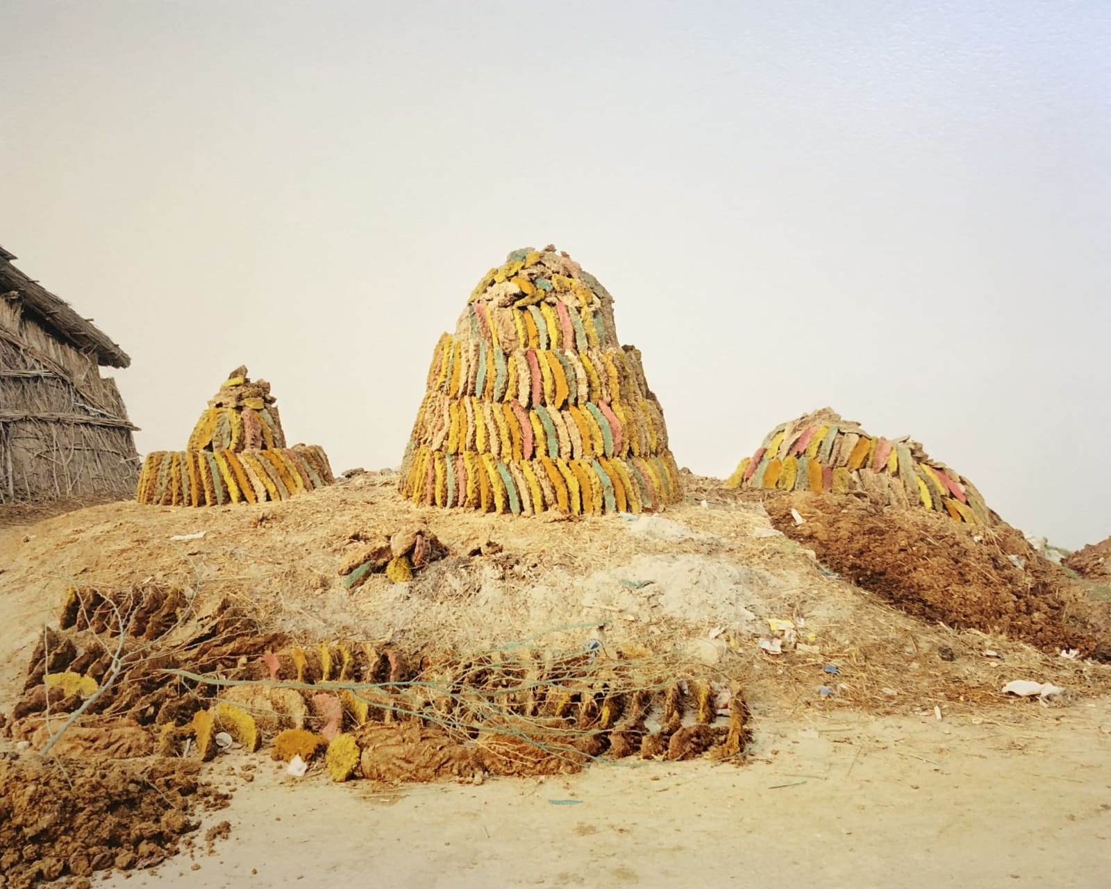 Vasantha Yogananthan, Anniversary Cake, 2013