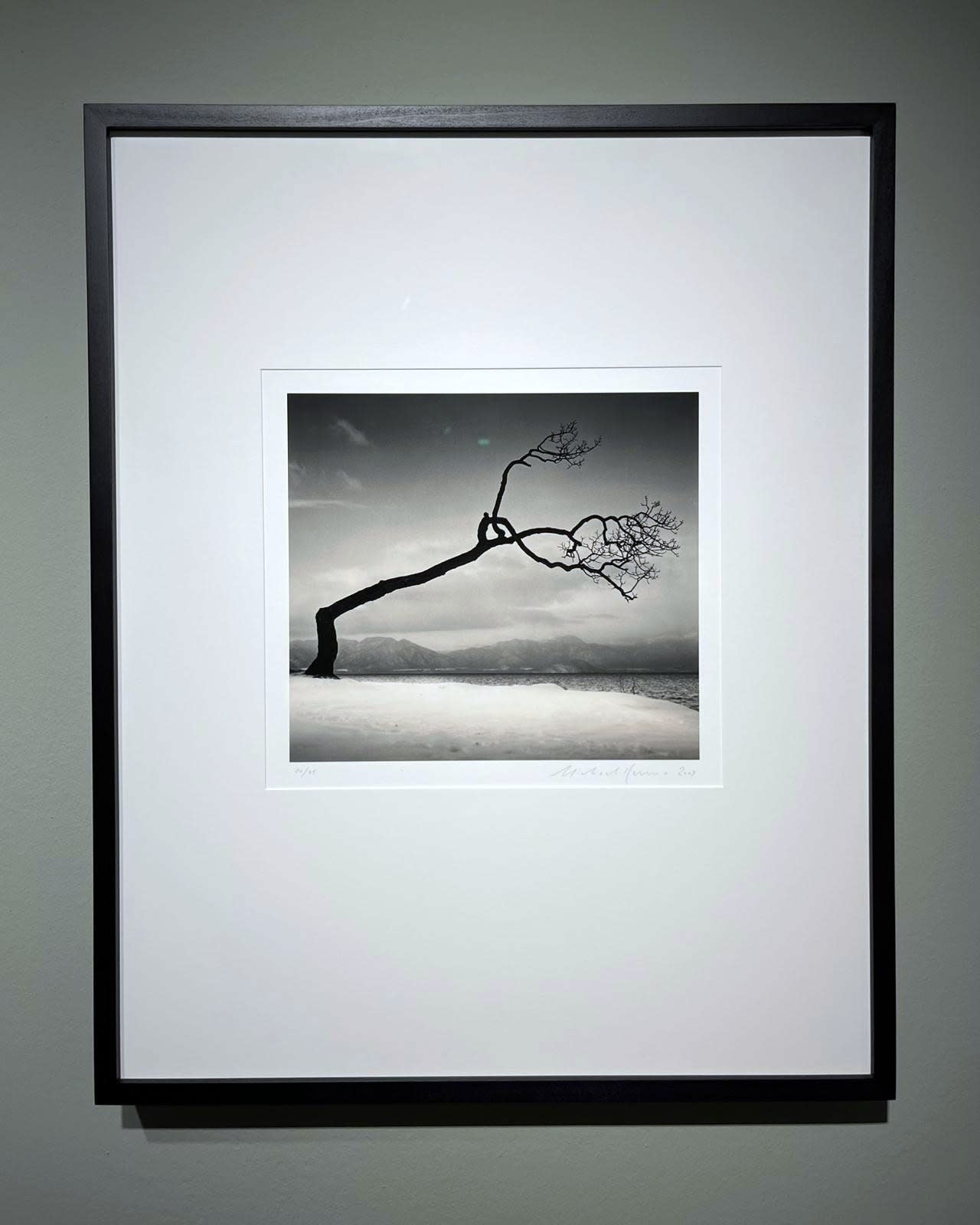 Michael Kenna, Kussharo Lake Tree, Study 16, Kotan, Hokkaido Japan, 2009
