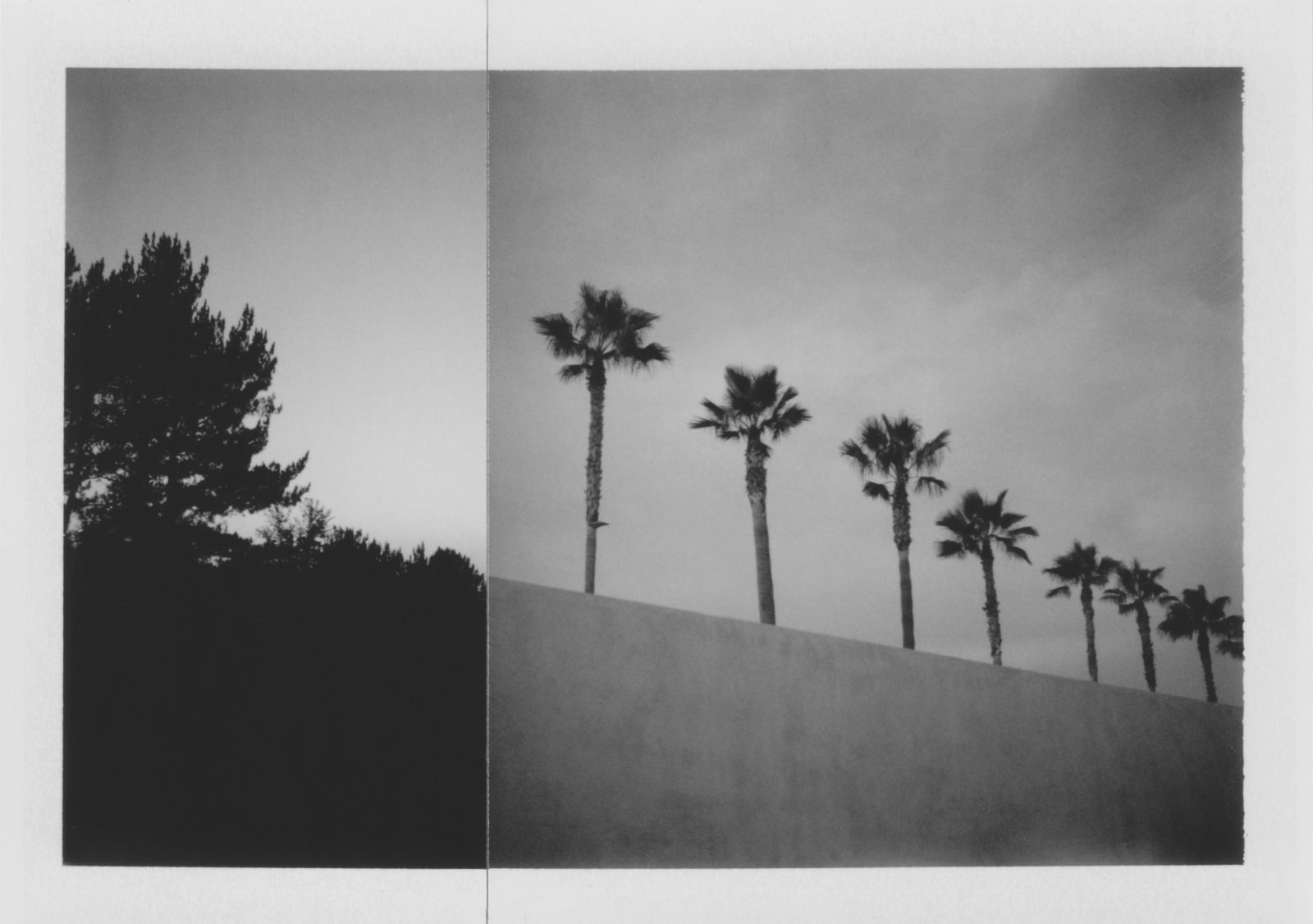 Cyrus Mahboubian, L.A. Horizon (Composite), 2022