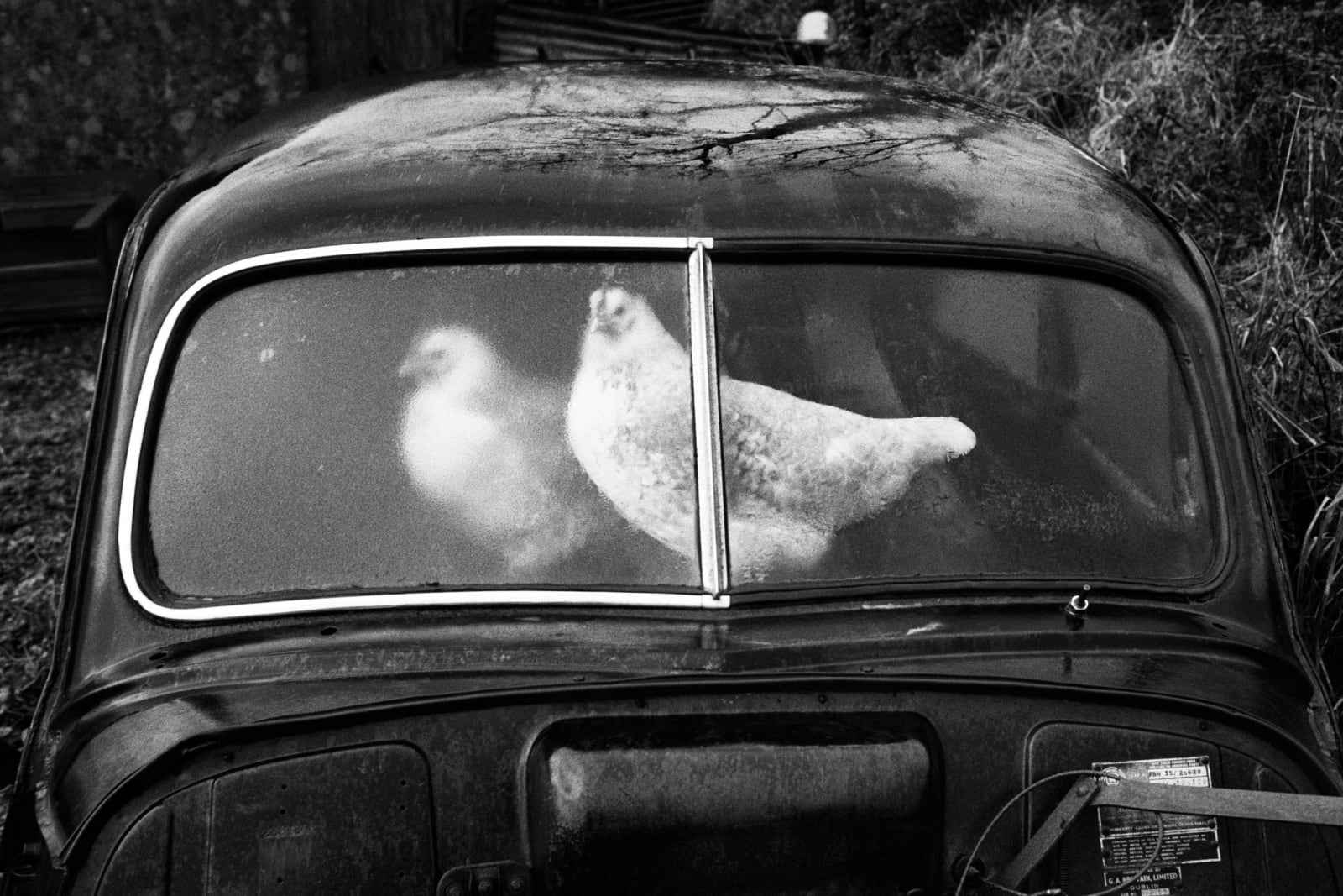 Martin Parr, County Sligo, Glencar, Abandoned Morris Minors, 1981