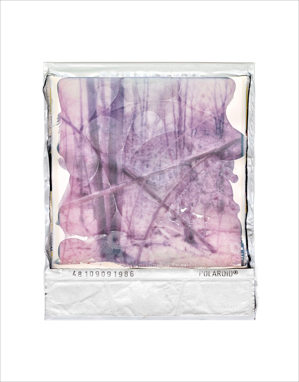 Gohar Dashti, Disappearing Nature #2, 2022