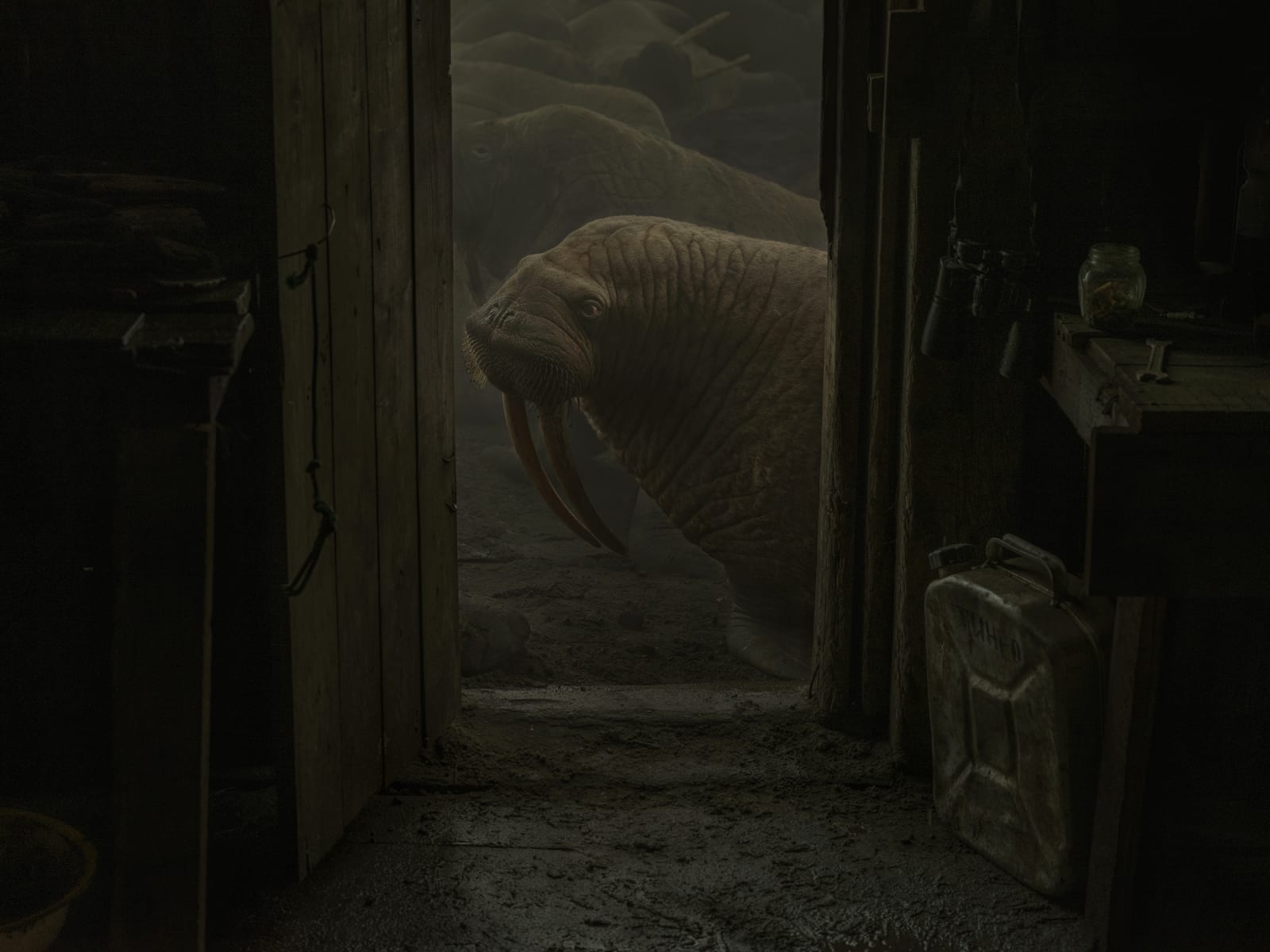 Evgenia Arbugaeva, Untitled 90, 2019-2020