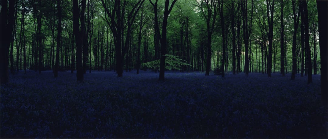 Chrystel Lebas, Blue Hour 5, 2005