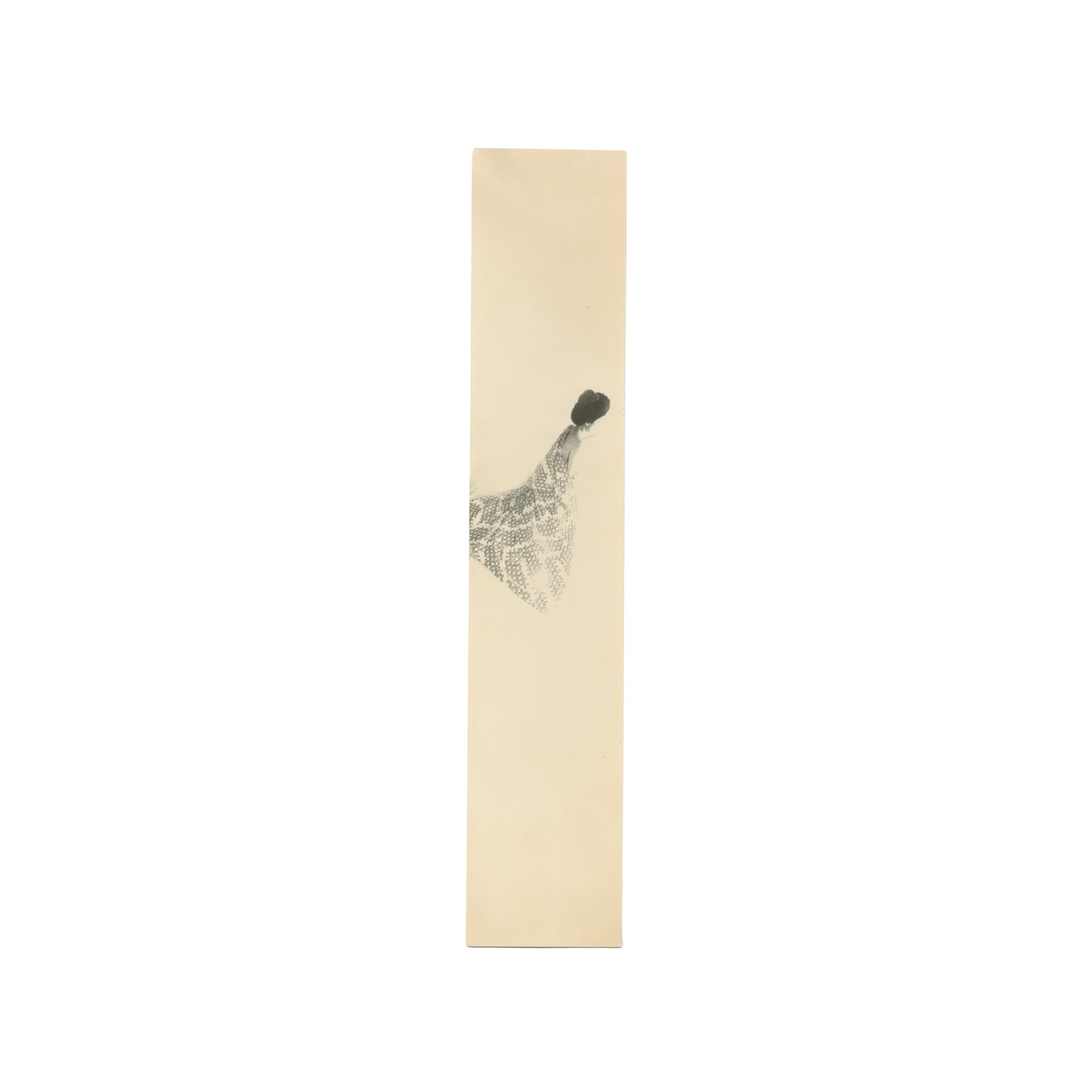 Miho Kajioka, #0164, 2024