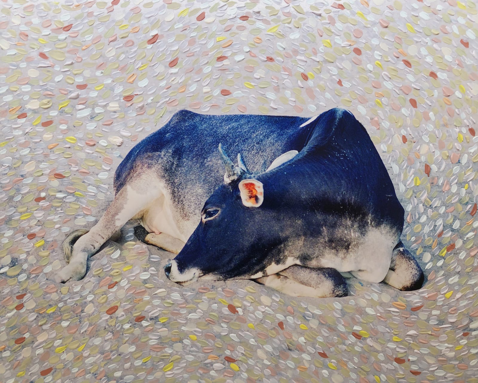 Vasantha Yogananthan, An Eye For An Eye, 2018
