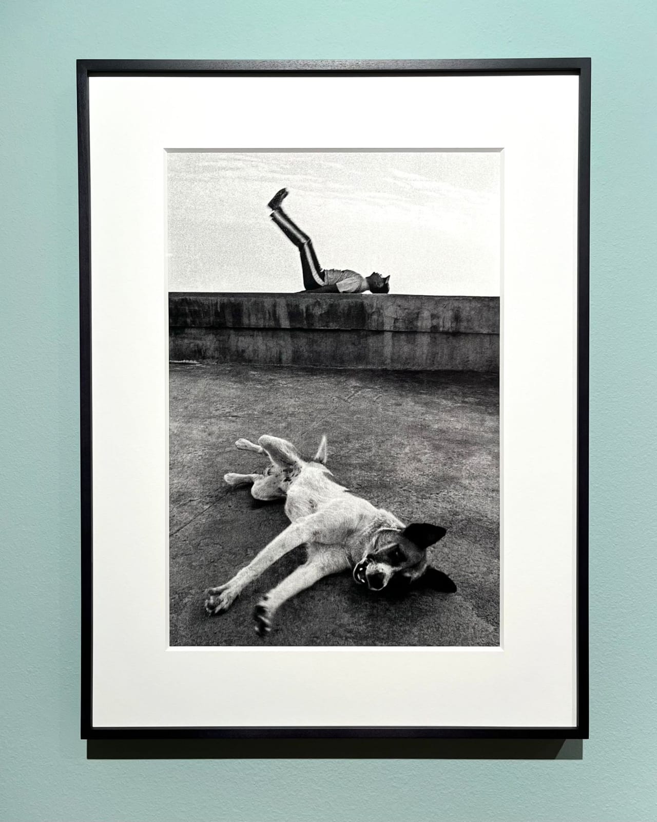 Raúl Cañibano, Malecón, Habana, 2003