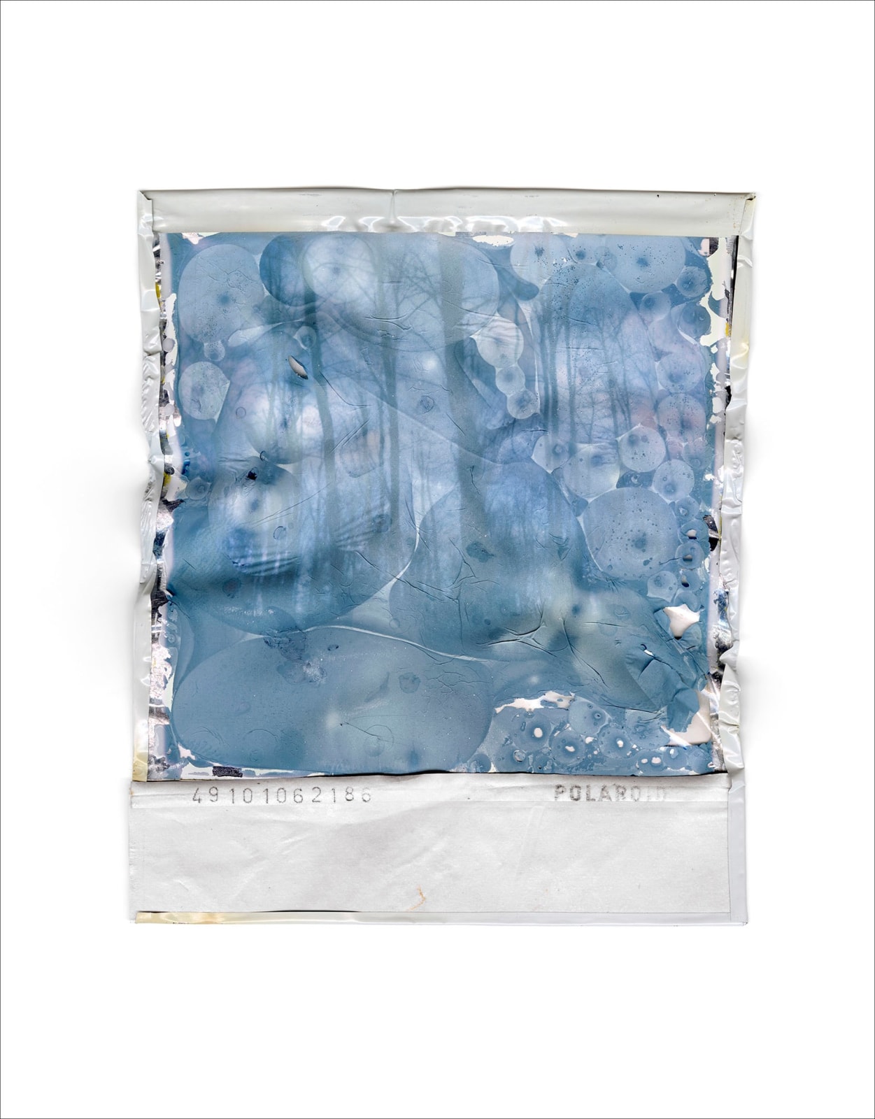 Gohar Dashti, Disappearing Nature #8, 2022