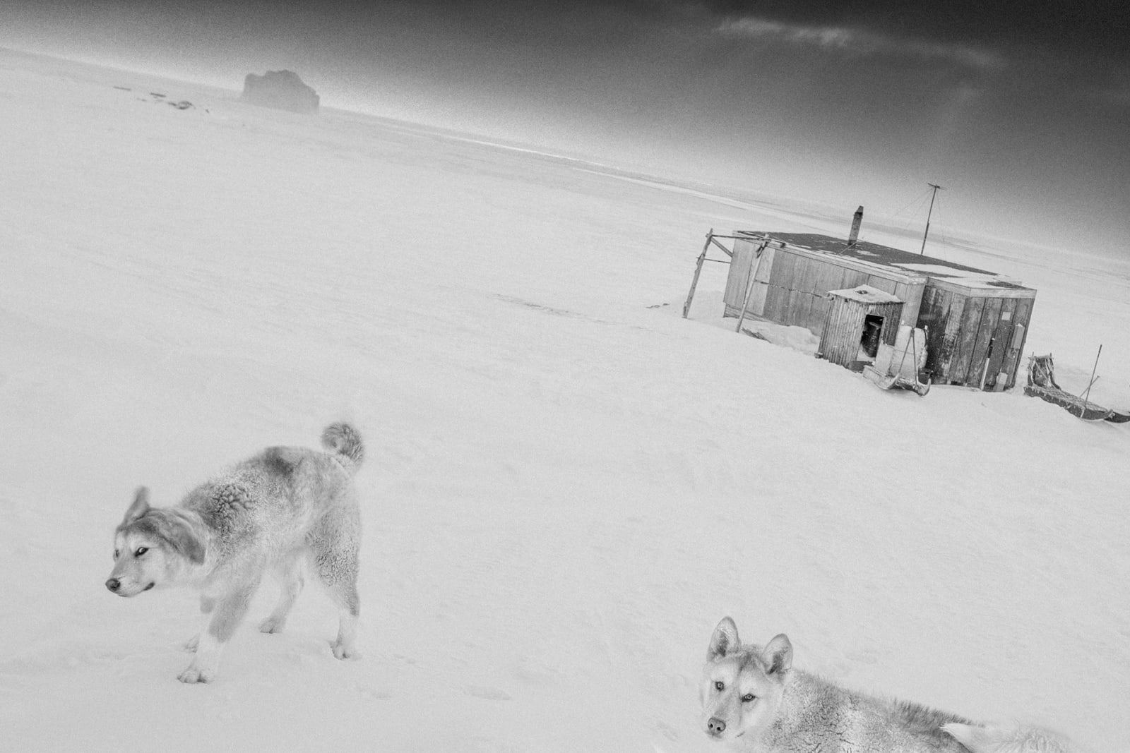 Ragnar Axelsson, Kap Tobin, Greenland, 1995