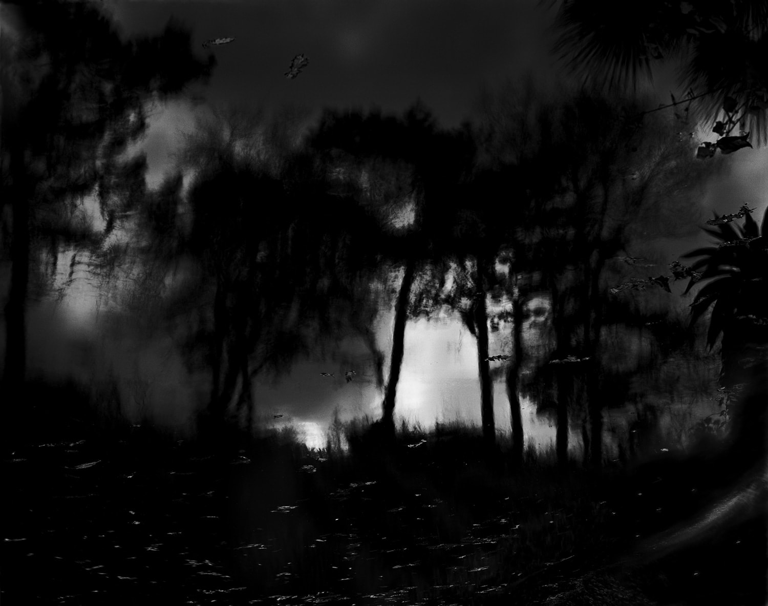 Nicholas Hughes, Verse I, #5, 2016