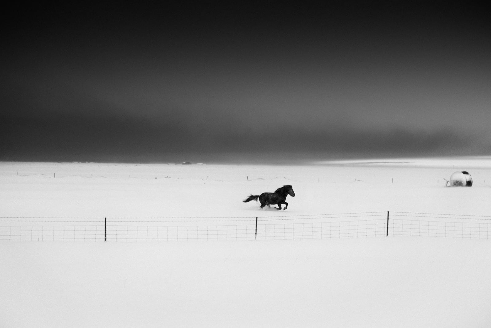 Ragnar Axelsson, Freedom, Iceland, 2015