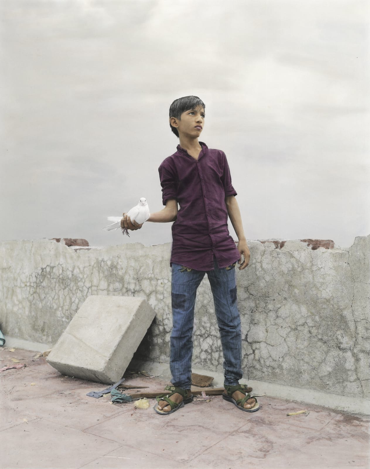 Vasantha Yogananthan, Peace Messenger, 2015