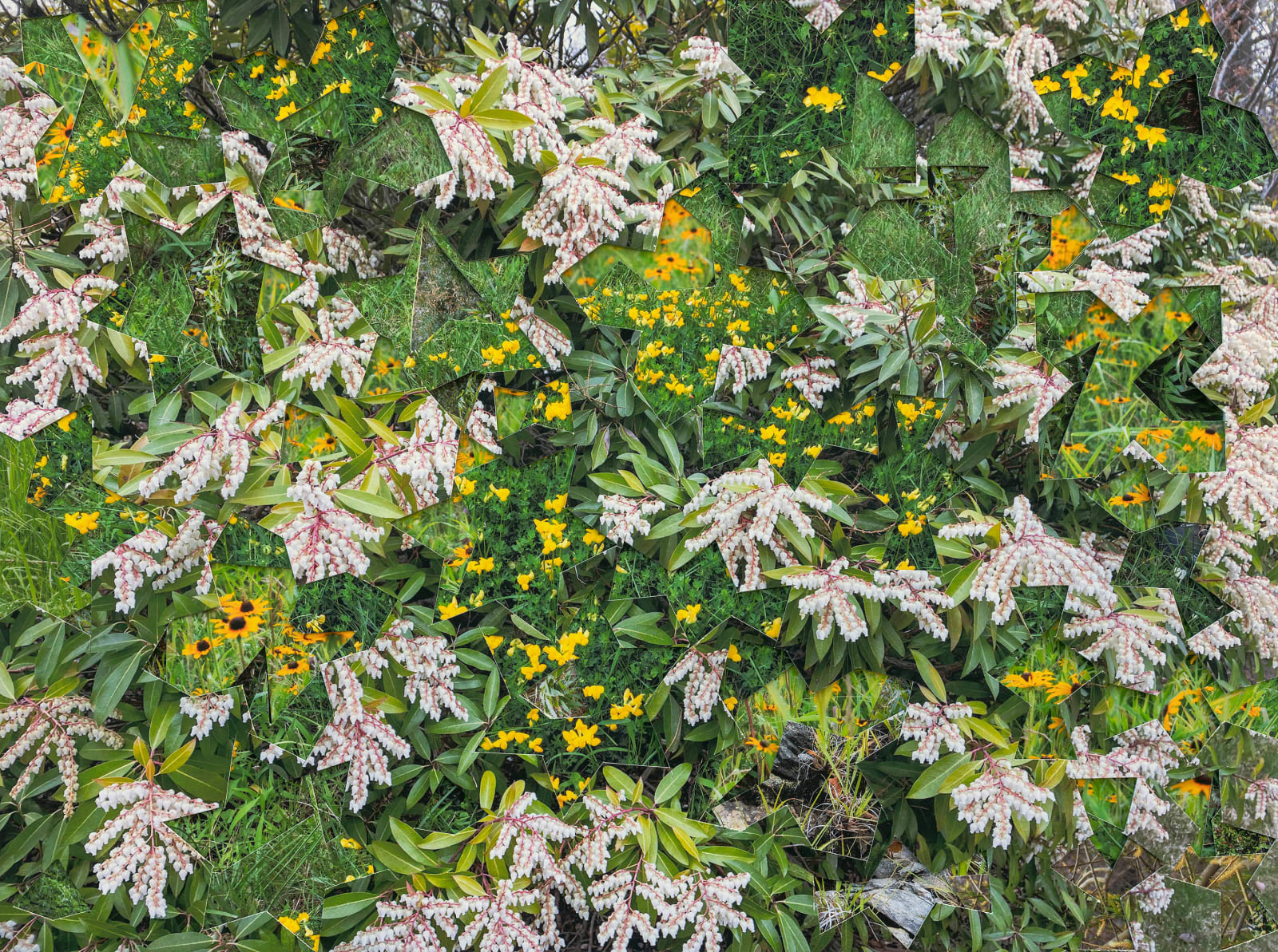 Gohar Dashti, Untitled #4, 2023