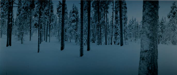 Chrystel Lebas, Between Dog and Wolf Untitled 8, 2005