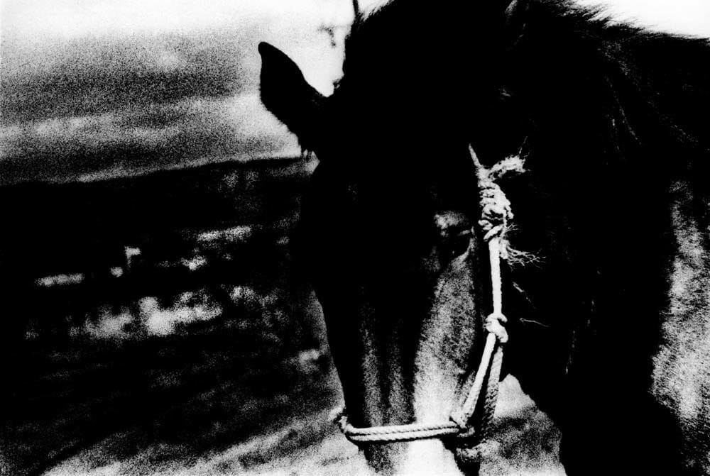 Daido Moriyama, Kushiro, Hokkaido, 1971, from 'A Hunter'