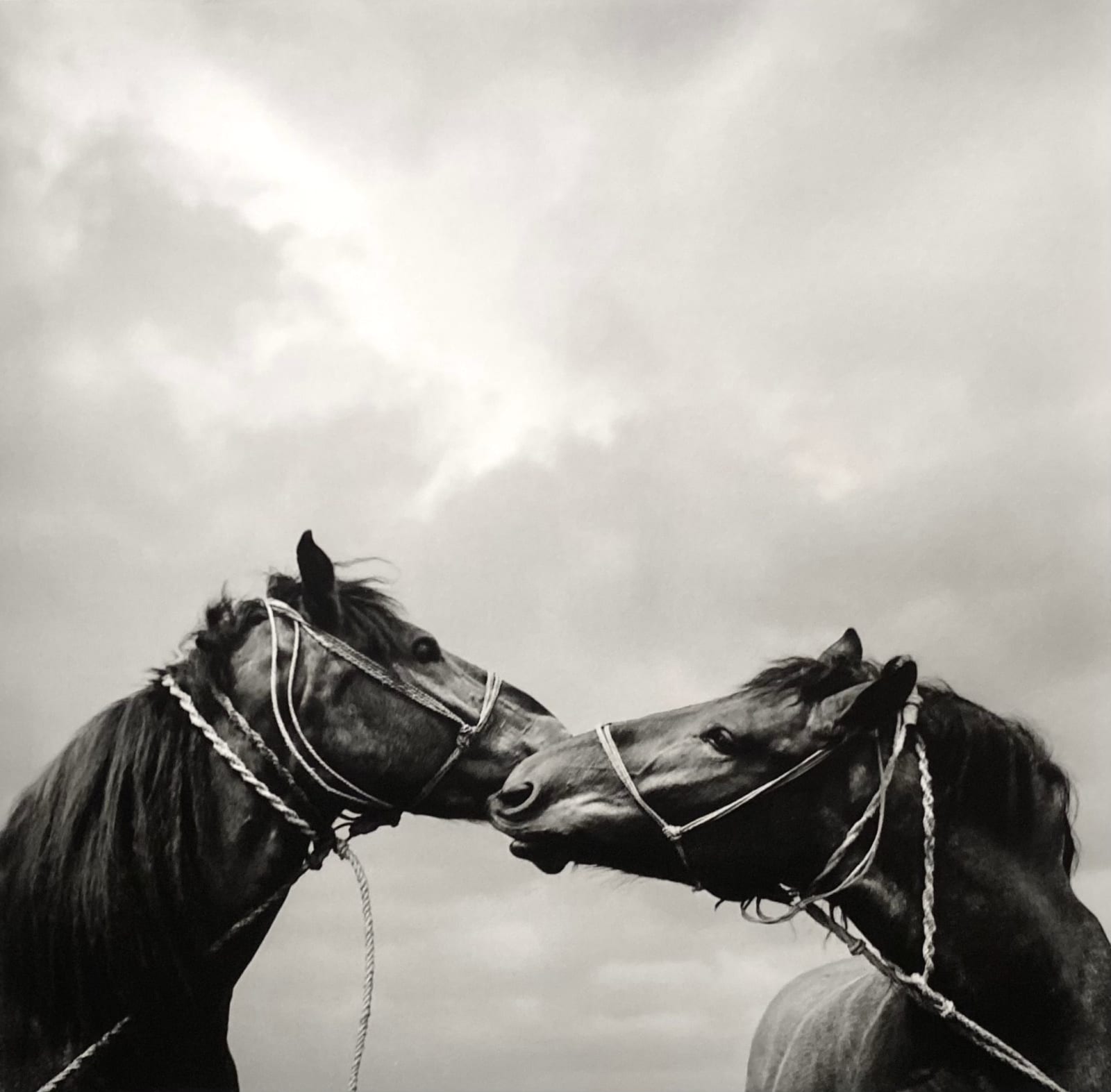 Pentti Sammallahti, Pecs, Hungary, 1999