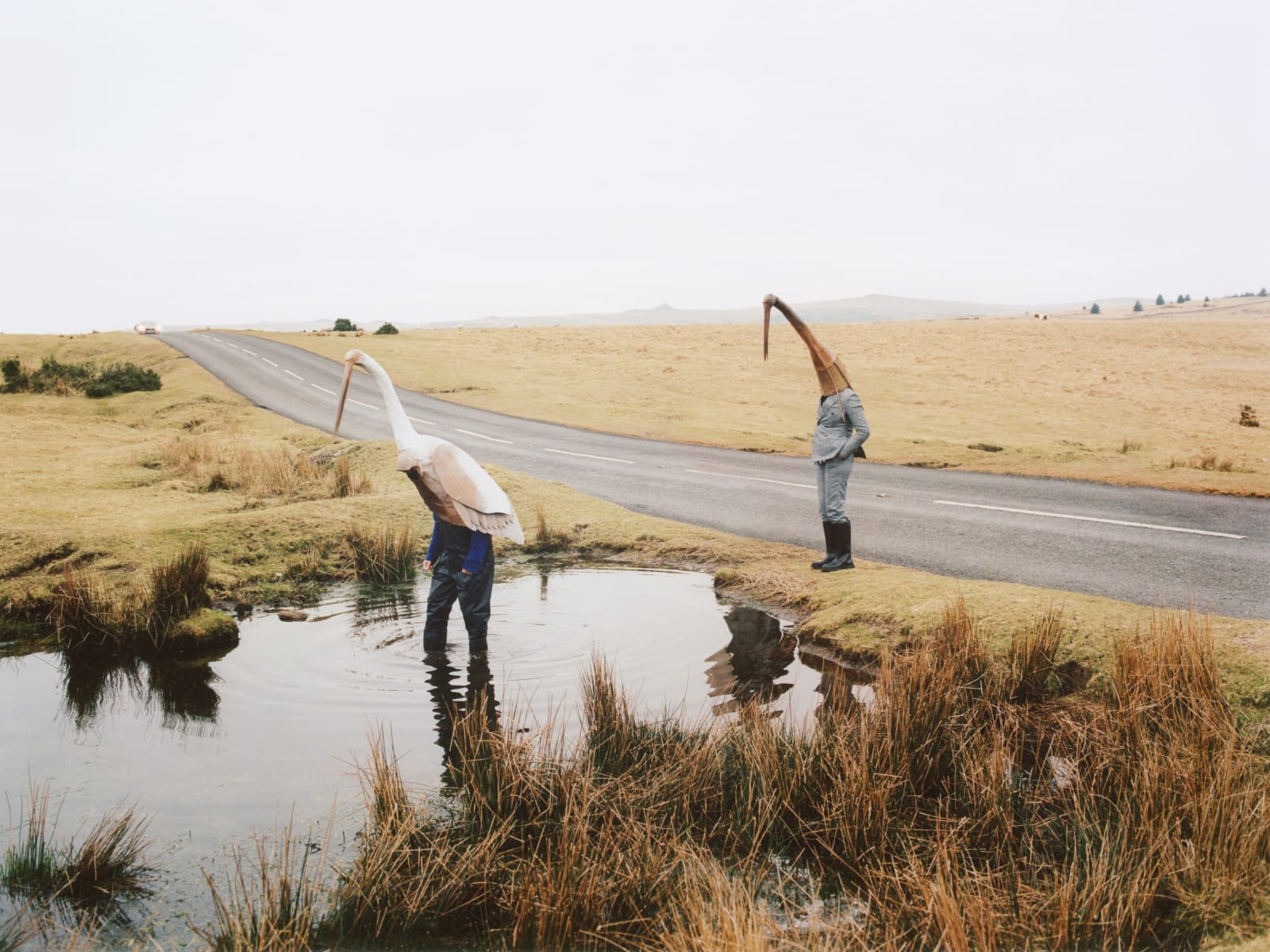 Clarisse d'Arcimoles, Why can't we live together #6