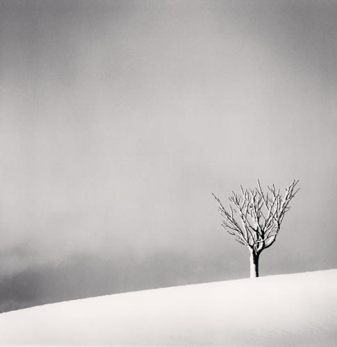 Michael Kenna, Snowfall, Numakawa, Hokkaido, Japan, 2004