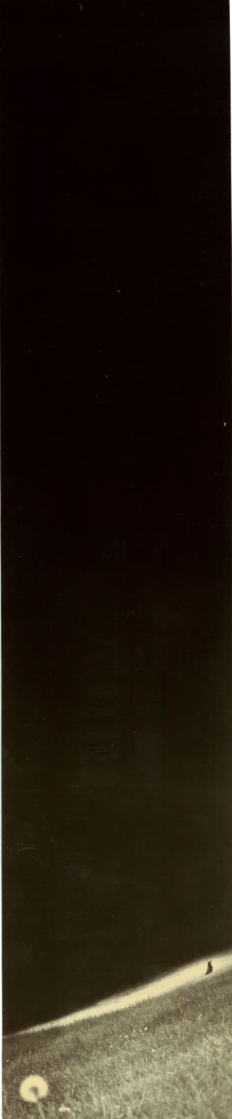 Miho Kajioka, BK0464, 2019
