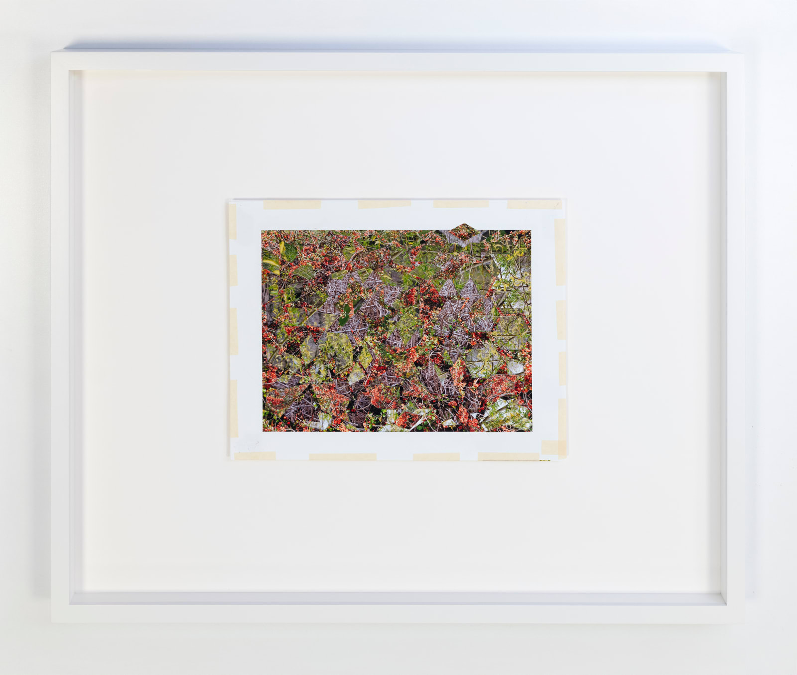 Gohar Dashti, Untitled #1, 2023