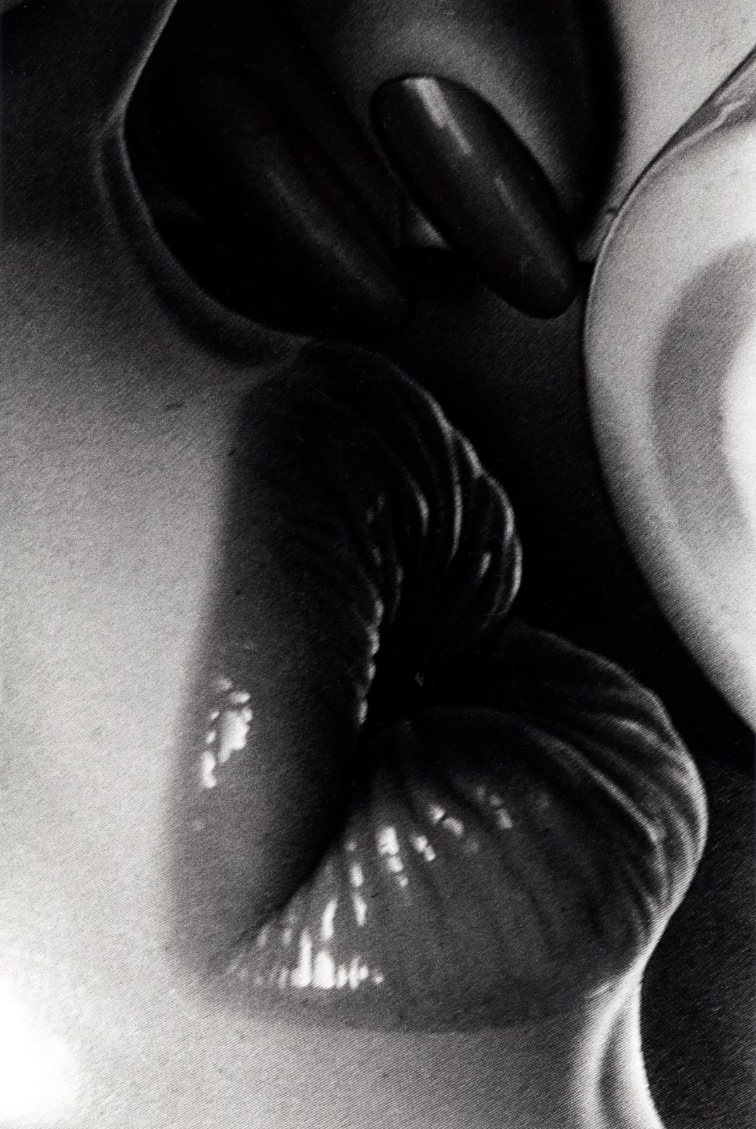 Daido Moriyama, Shashin Jidai, 1981-1988