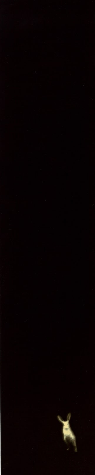 Miho Kajioka, BK0348, 2018