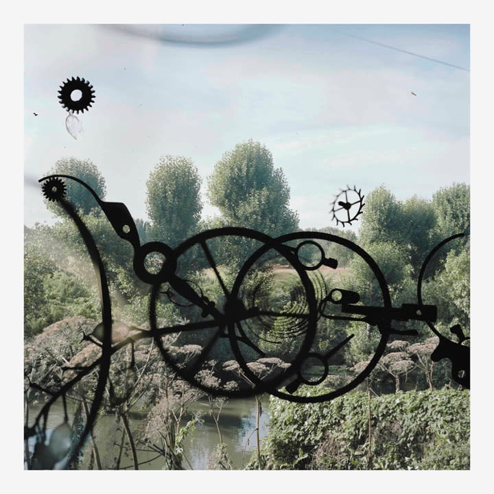 Exclusive Editions, Stephen Gill, Untitled from Talking to Ants , 2009 - 2013