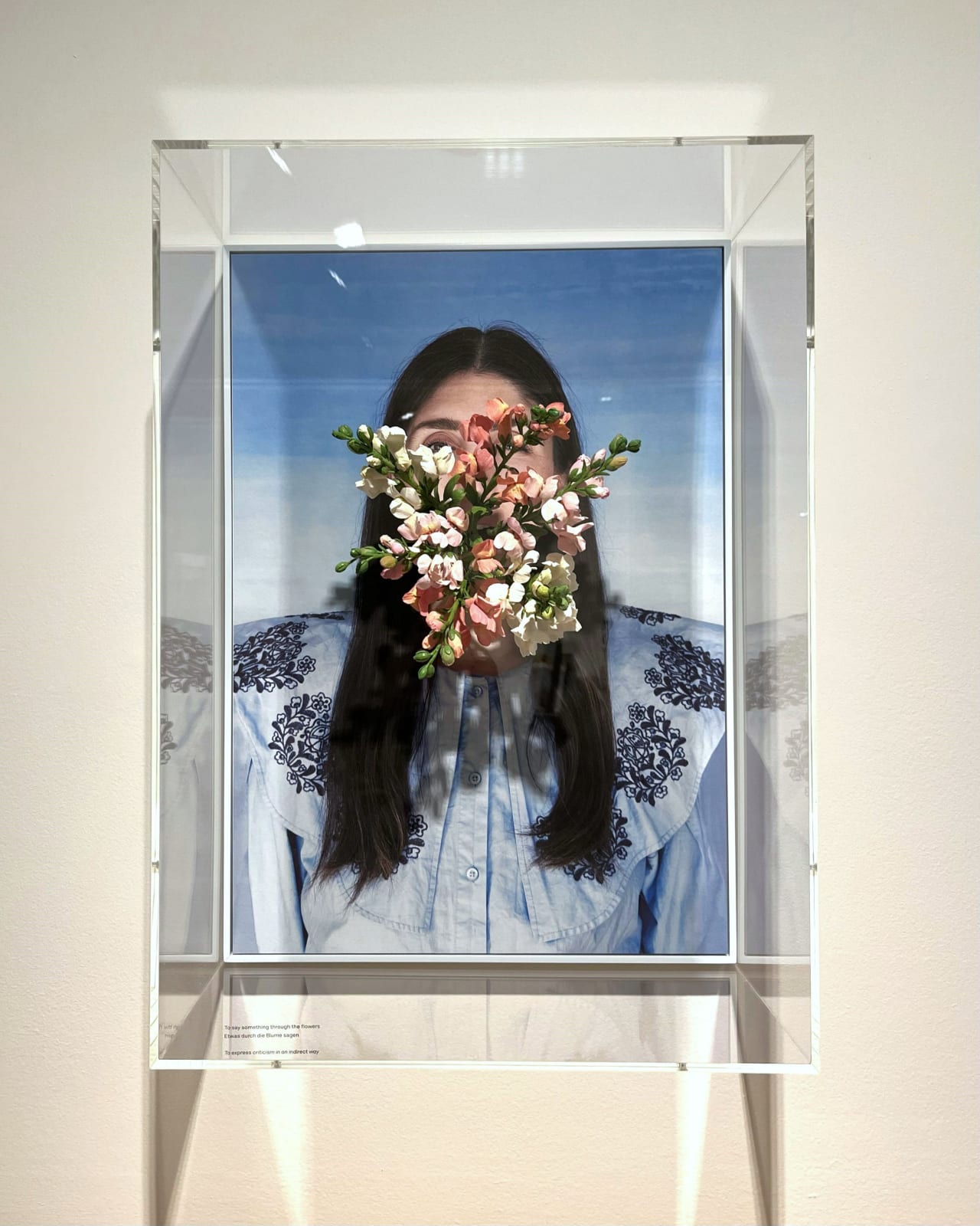 Alma Haser, To say something through the flowers (Etwas durch die Blume sagen), 2024