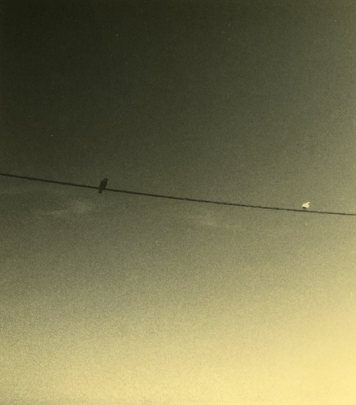 Miho Kajioka, BK0263, 2016