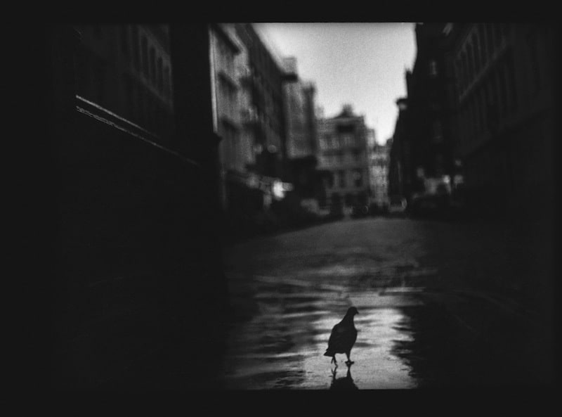 Giacomo Brunelli, Untitled 12, 2012-2014