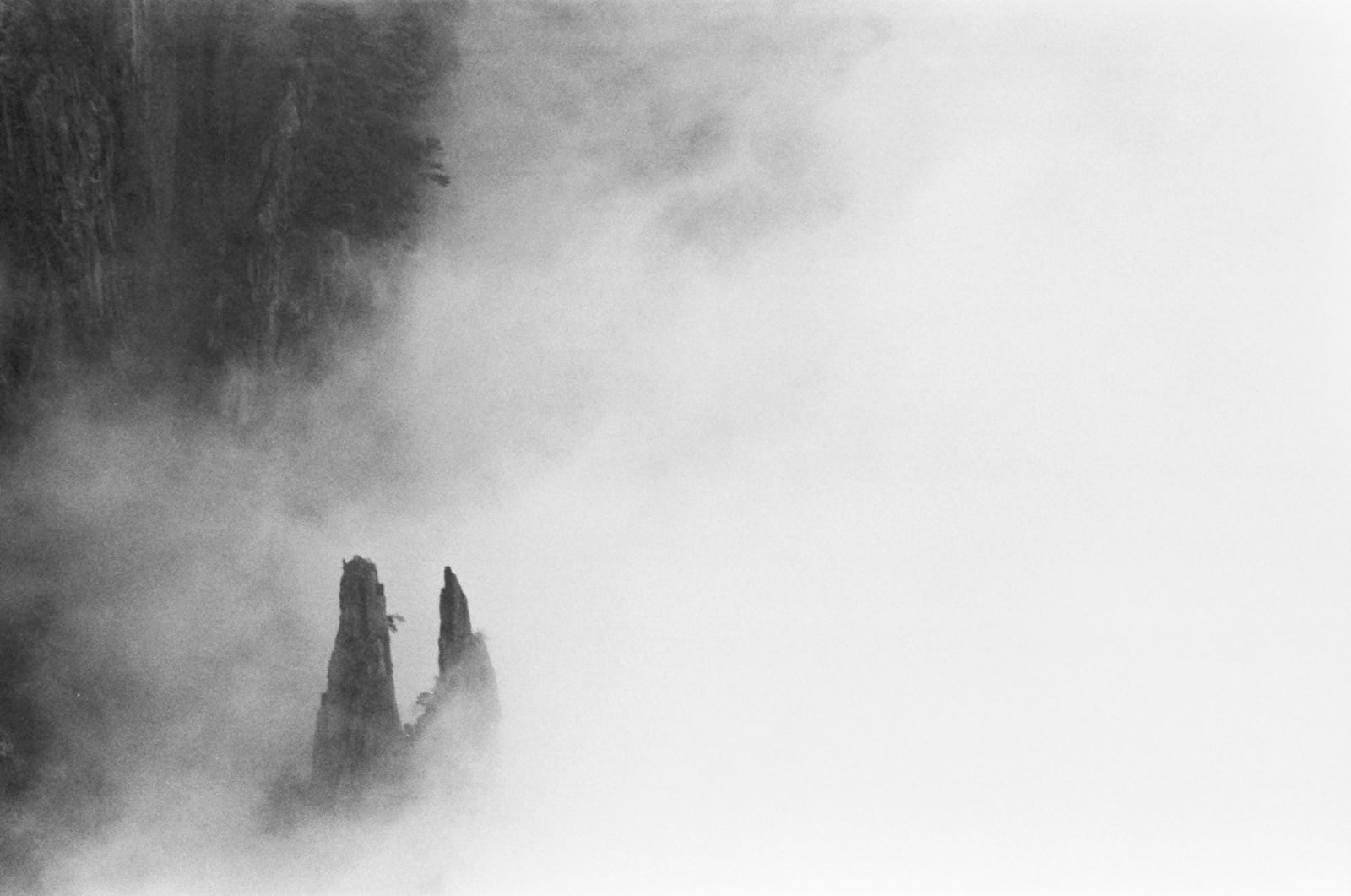 Qiu Yangzi, Accompany, 2015