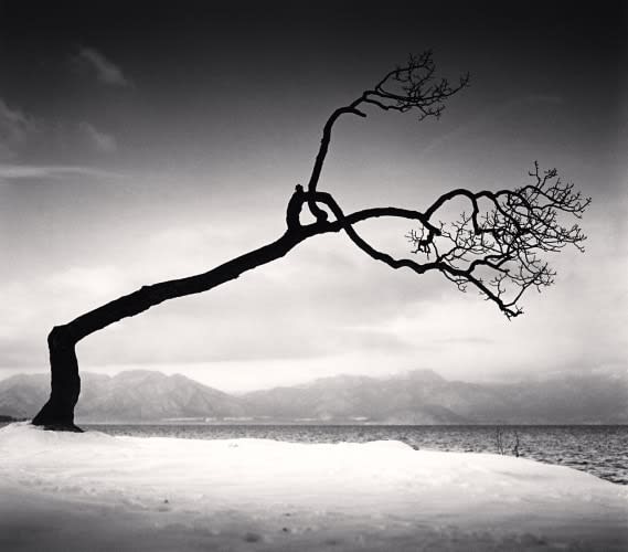 Michael Kenna, Kussharo Lake Tree, Study 16, Kotan, Hokkaido Japan, 2009