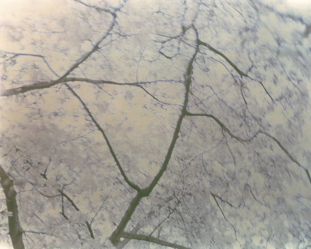 Kurt Tong, Untitled 1, 2009