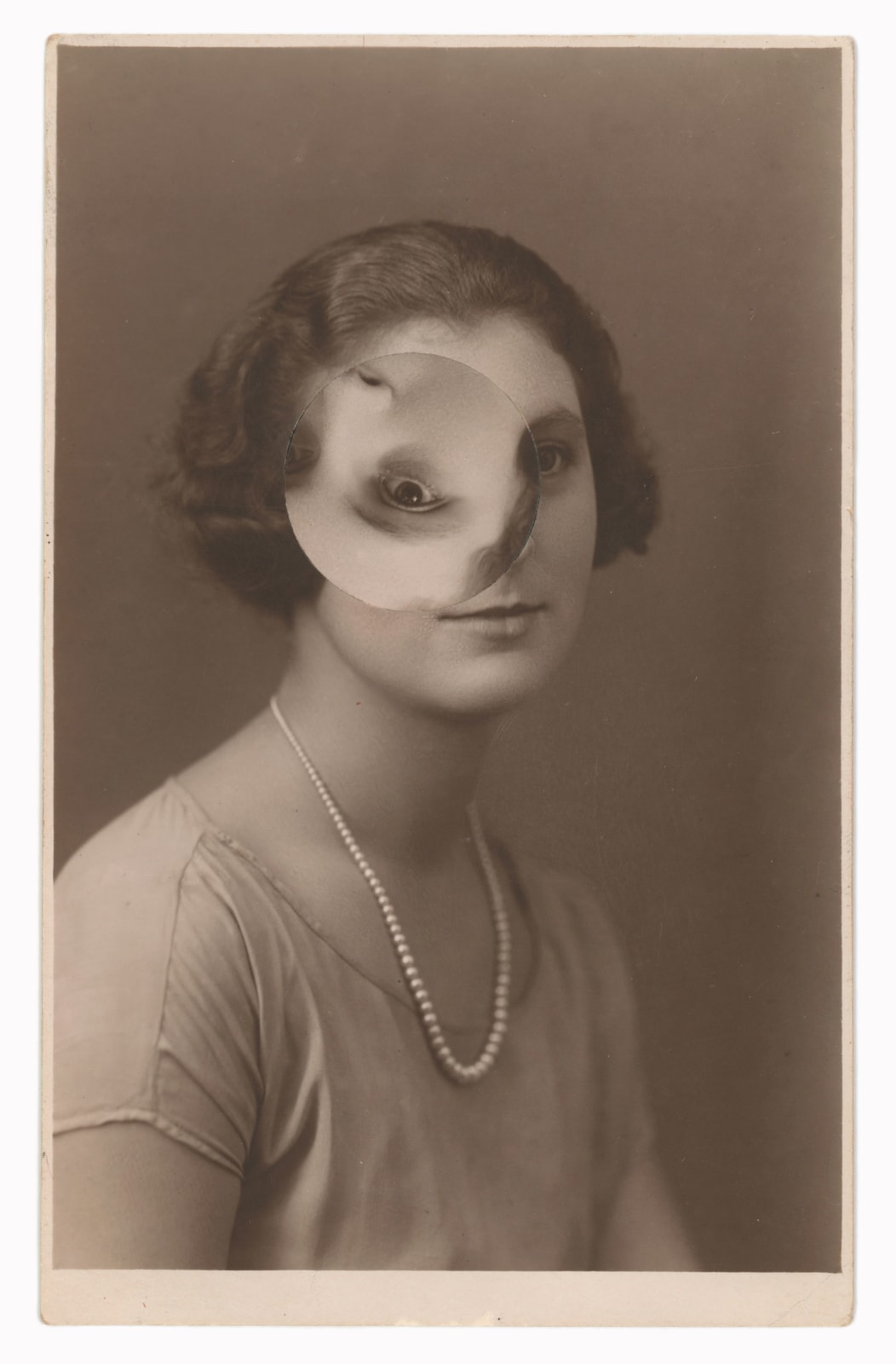 Kensuke Koike, Night Owl, 2017