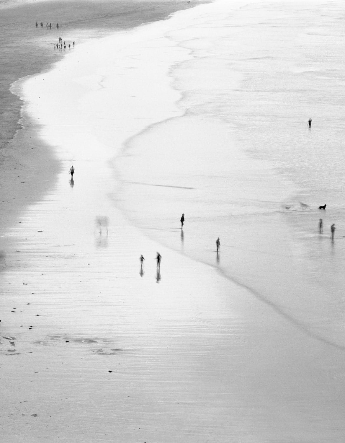 Nicholas Hughes, Verse II, #17, 2019