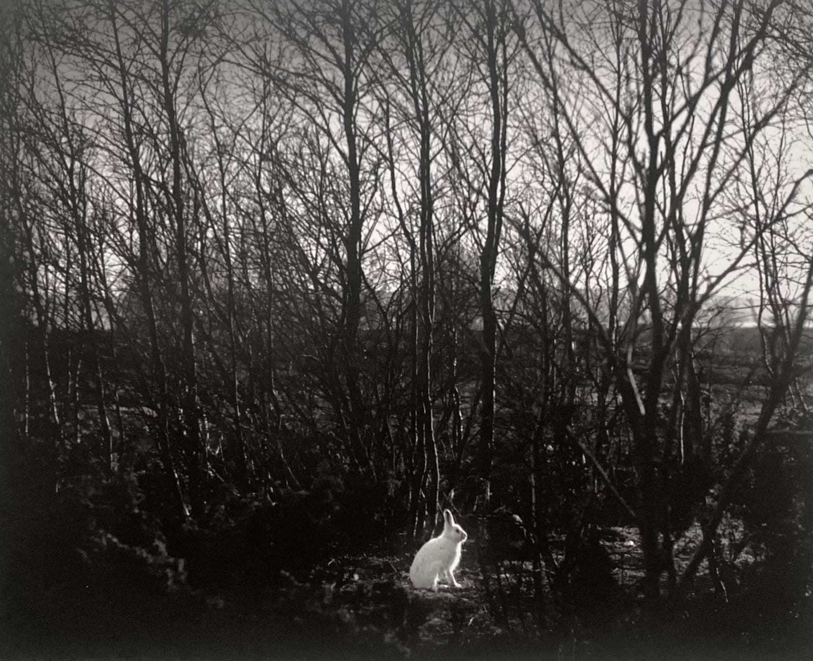 Pentti Sammallahti, Signilskar, Finland, 1974