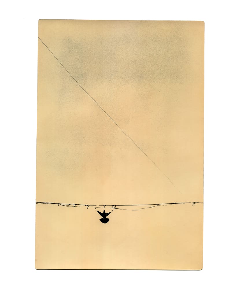 Miho Kajioka, BK0160, 2016